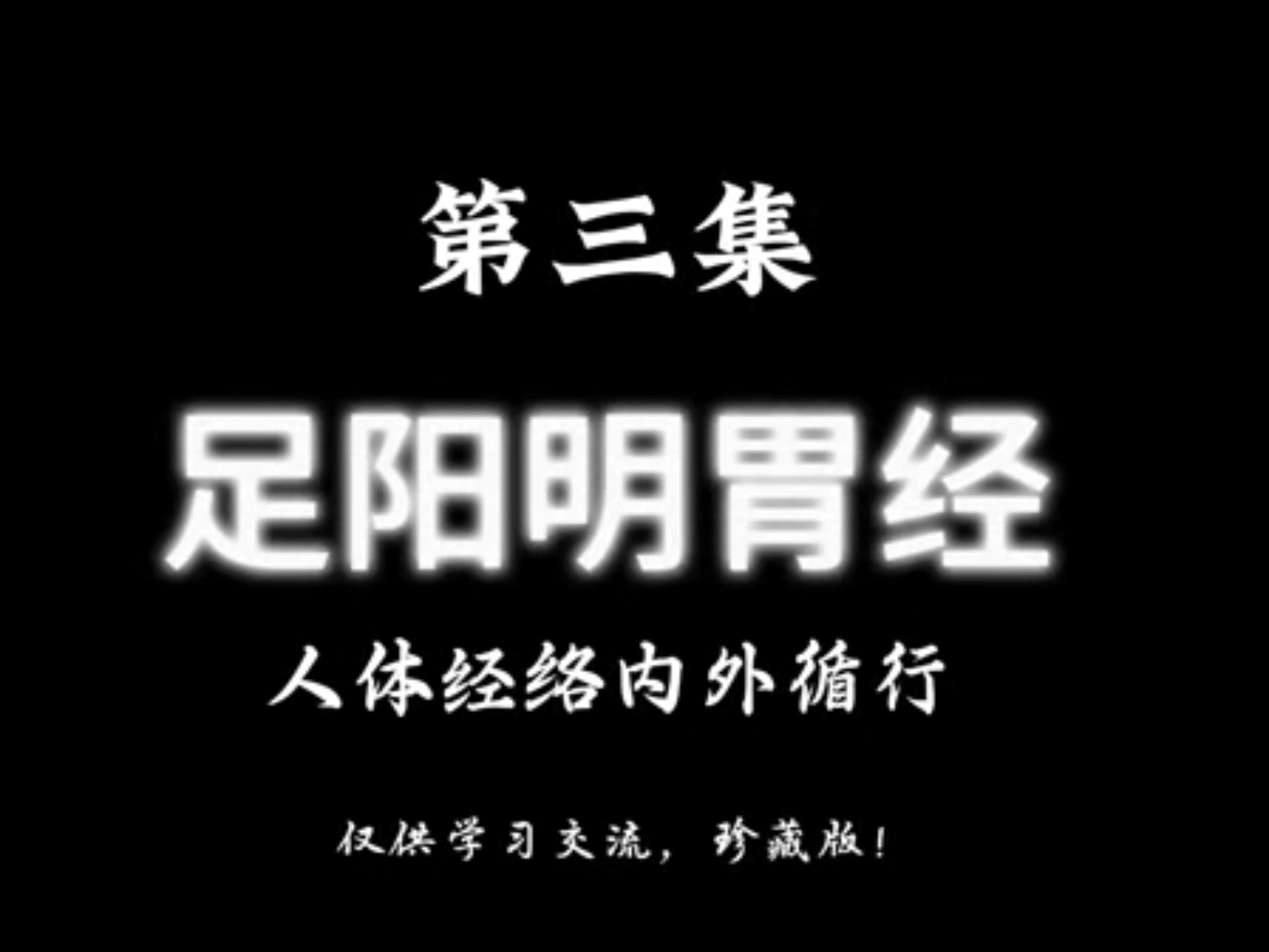 足阳明胃经，人体经络内外循行，有缘遇见，惠存珍藏