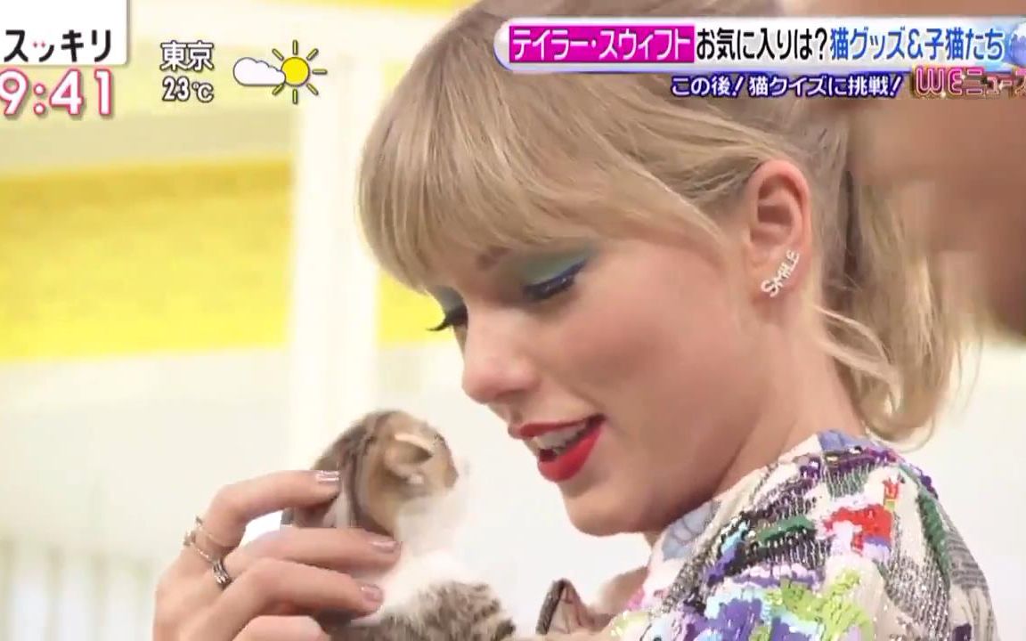 霉霉在日本节目上看到小奶猫就把持不住了，全程爱不释手哈哈