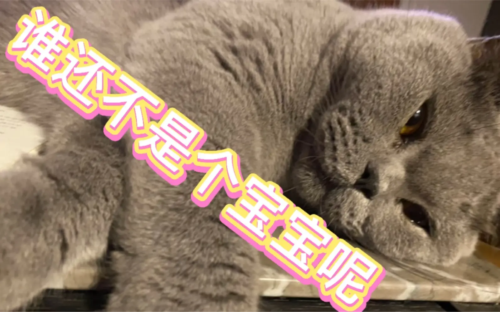 谁还不是个宝宝呢