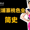 疯狂萝莉岛只是个引子？欧美炼铜剥削的最大试验场在柬埔寨！【世界奇葩史