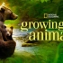 【纪录片·全6集】动物成长 Growing Up Animal（中英双语字幕）