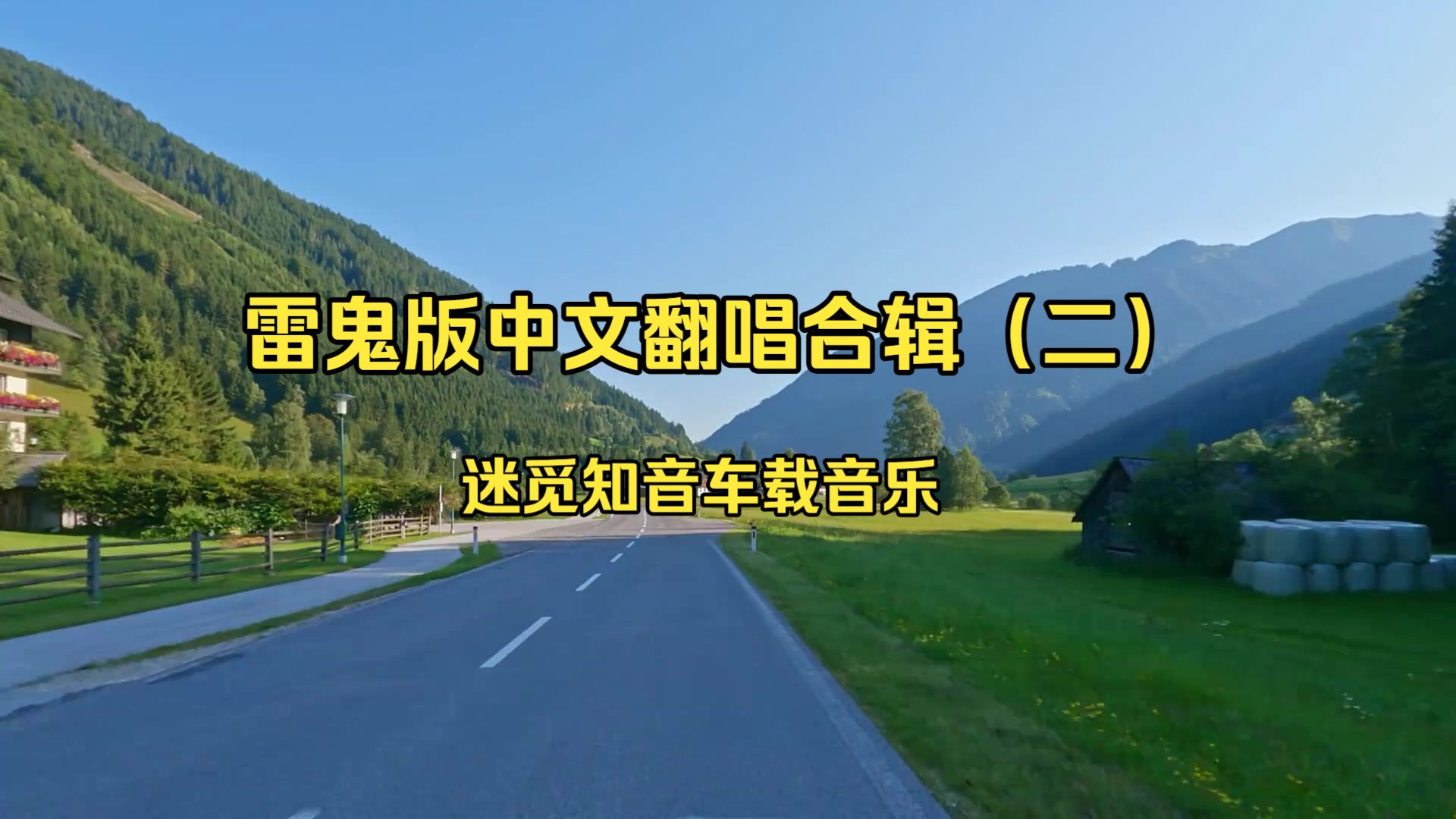 【中文经典翻唱合辑二】《迷觅知音车载音乐-雷鬼版-中文翻唱电音合辑二》