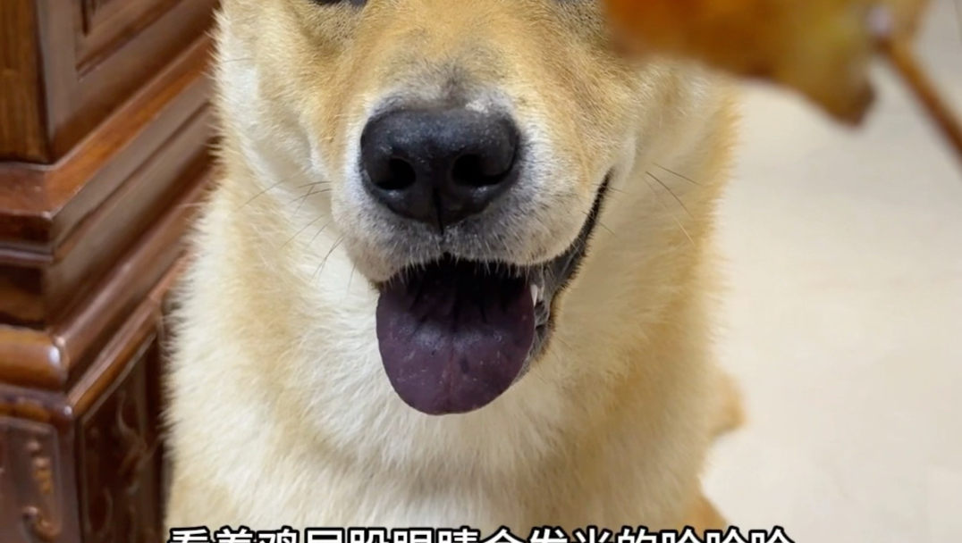 宵夜，我请！