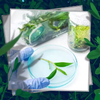 【公开课】植物组织培养
