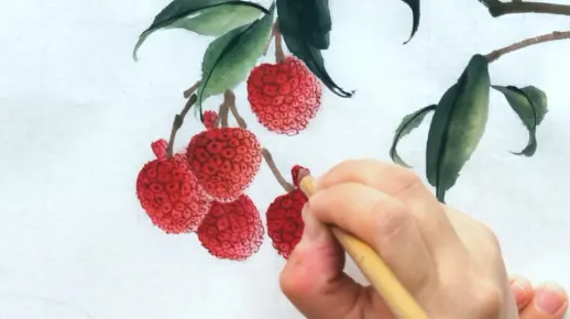 【国画教程】写意荔枝的画法