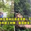 小男孩在雨林玩高速滑索，不料半路突然撞上树懒，画面略显滑稽