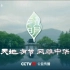 【CCTV公益传播】2024版二十四节气公益广告《清明》