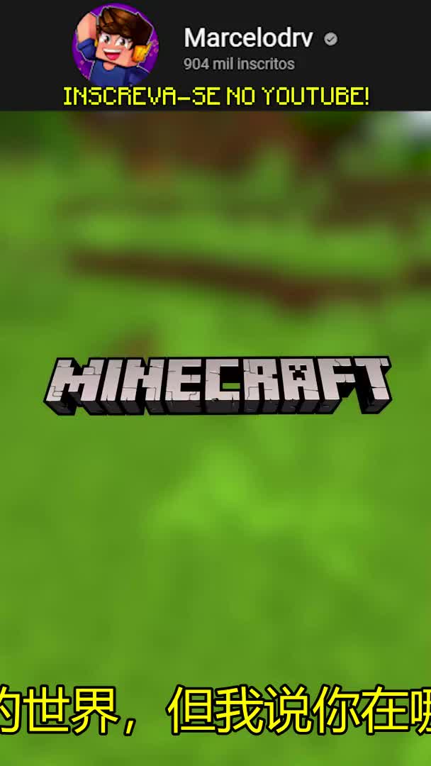 SE EU FALAR O VÍDEO ACABA - MINECRAFT 