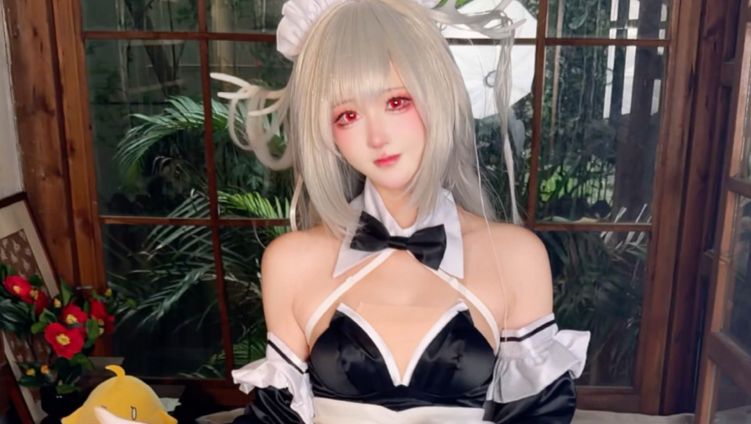 人类驯服四肢实录