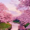 在那桃花盛开的地方-蒋大为