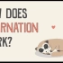 【Ted-ED】冬眠的运作原理 How Does Hibernation Work