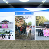 中小学班主任基本功大赛优秀作品80集，含主题班会，带班育人方略，主题班会，才艺展示，情景答辩，精品#中小学#班主任#基本功大赛#育人故事#带班育人方略