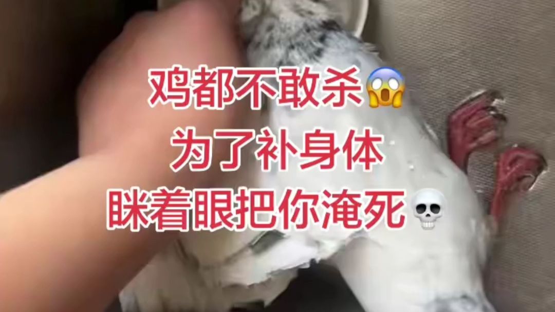 补身体这一块