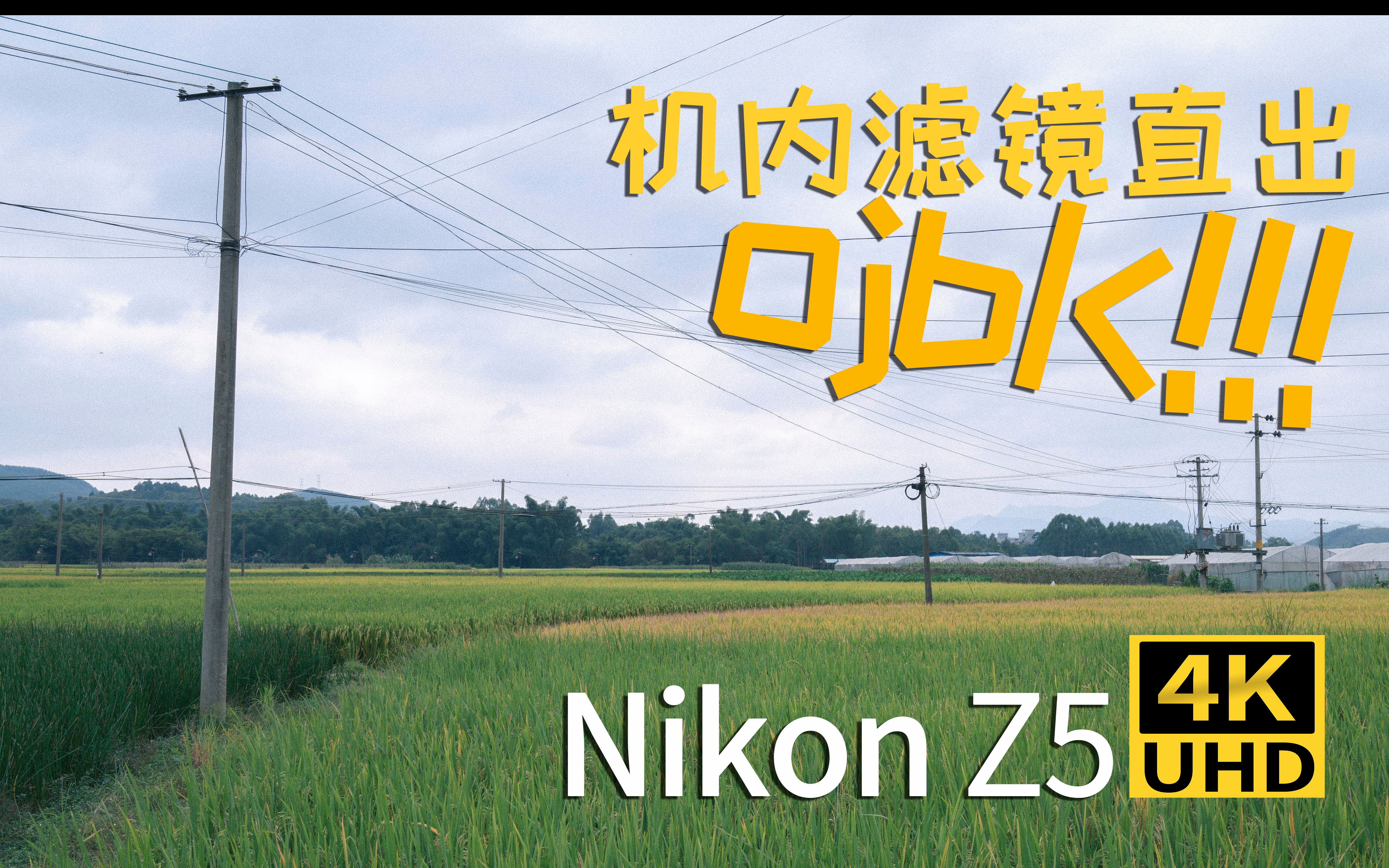 【尼康Nikon Z5】尼康Z5 4K画质 滤镜直出 挺香的