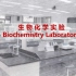 2020 - 生物化学实验 - 北京大学