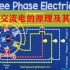 【汉语】电路基础2-6.三相交流电的原理及其应用