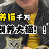 养猫千万别养大猫