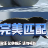 给介绍男朋友#熊熊 #熊狒 #猪猪男孩 #有肉感的小胖子 #彩虹