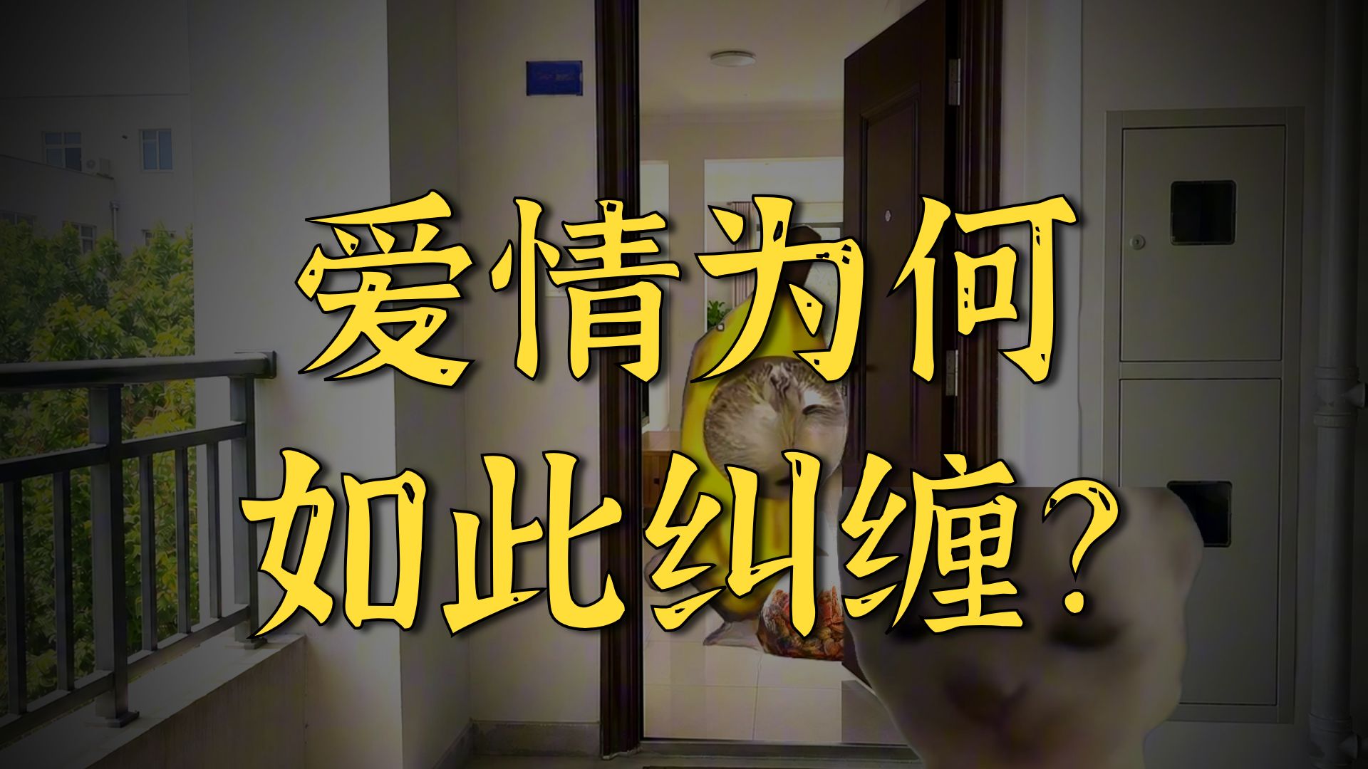 有人总是把外卖填我家地址