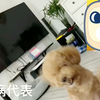家里有大病的妹妹