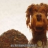 爱狗的看过来！《犬之岛》定档4月20日 柏林电影节获奖动画强势来袭！