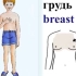 【俄语学习】身体各部位的俄语表达