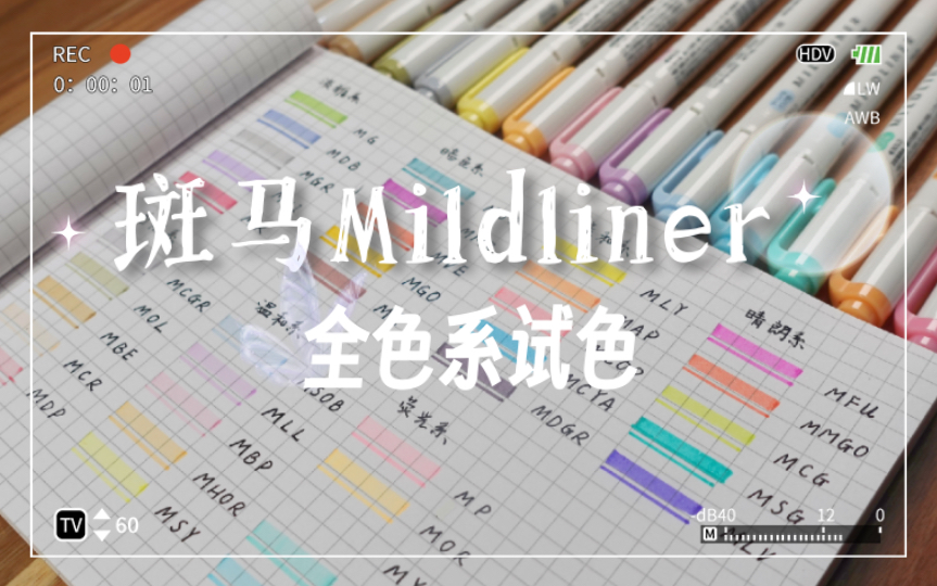 荧光笔试色 斑马mildliner WKT7 全色系7套组试色