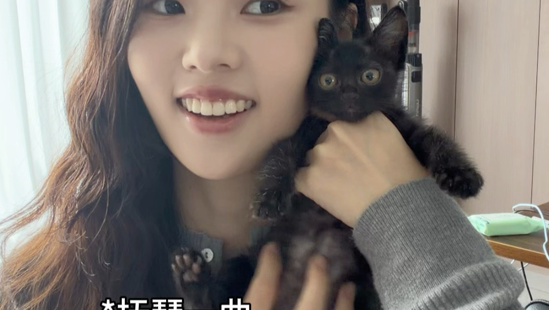 不是，猫跟猫的区别怎么这么大！