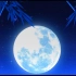 月光蝴蝶星空竹林大气炫丽背景视频素材