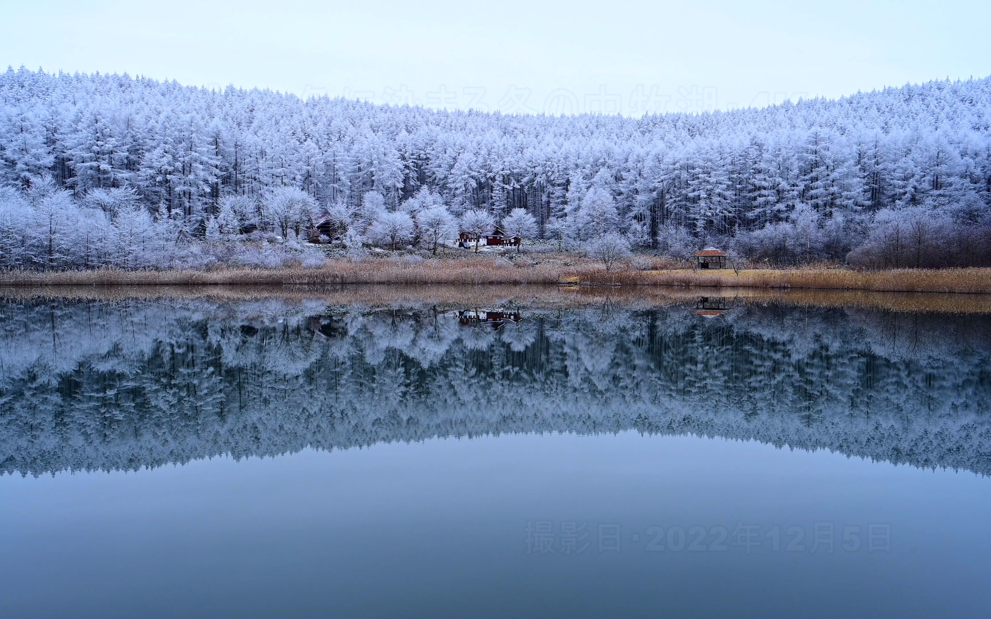 【4K超高清日本】第一视角 染上蓝灰色的冬天的中牧湖 2022.12