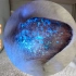 猫癣的荧光反应就是这样子的！