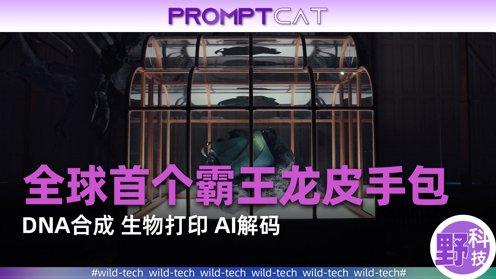 有人用霸王龙的皮做了个包
