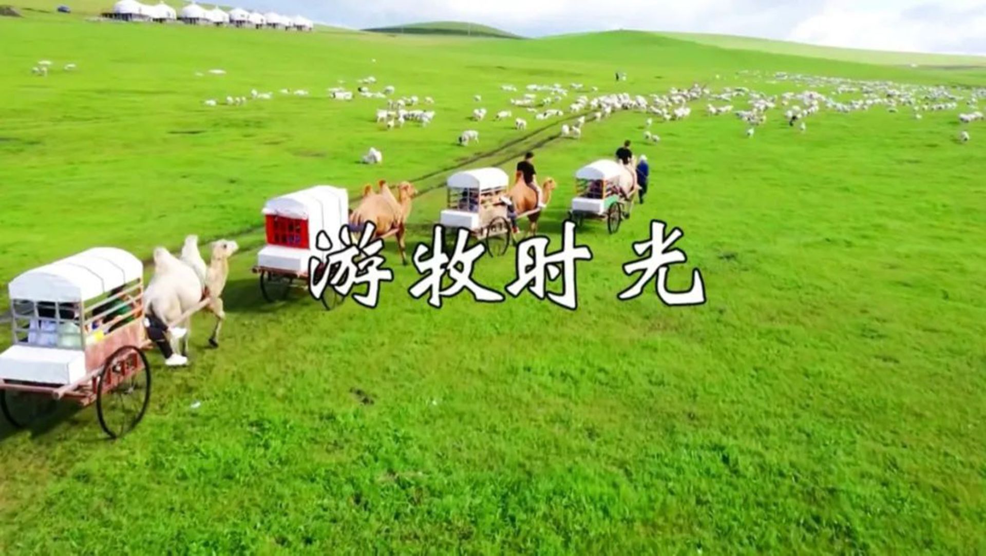 马头琴曲《游牧时光》，琴声悠扬绵长，唯美醉心