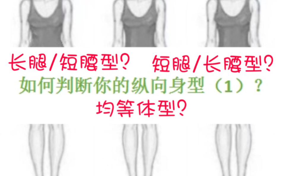 如何判断你的纵向身型（1）？腿长？腰长？