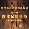 古埃及纸草书-最早的医学和医典 | 世界医药里程碑