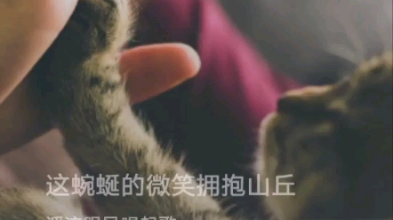 麦芽糖哔哩哔哩bilibili