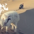 第七届北京国际网络电影展入围影片——《载羊》