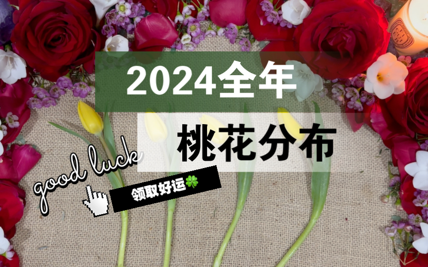【李奶奶塔罗】2024全年桃花分布情况