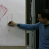 列宾美院人体结构解剖绘画 Anatomy Part I (7小时