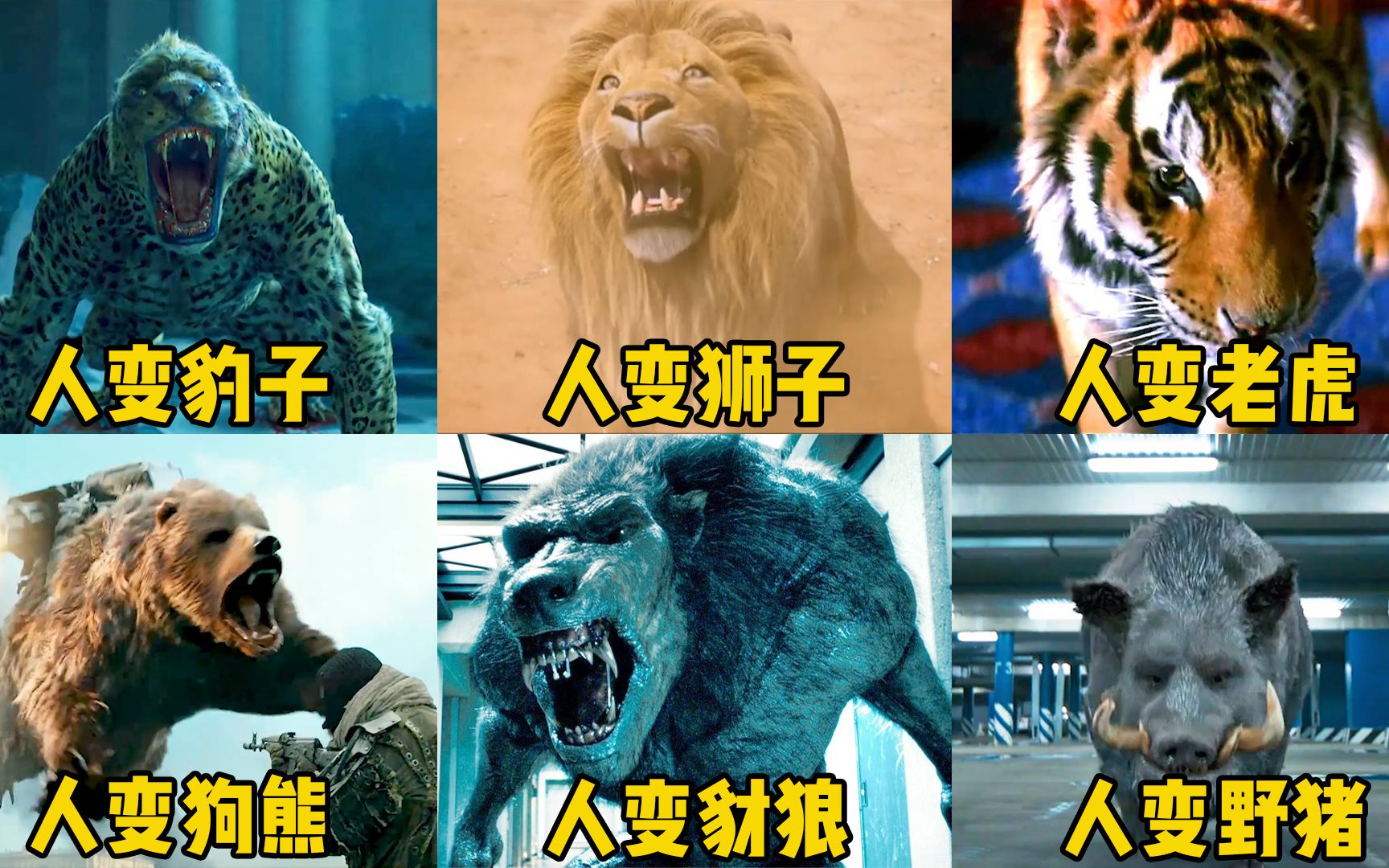 盘点六个版本的人变猛兽，你觉得哪个更厉害？人变狮子后大战大象
