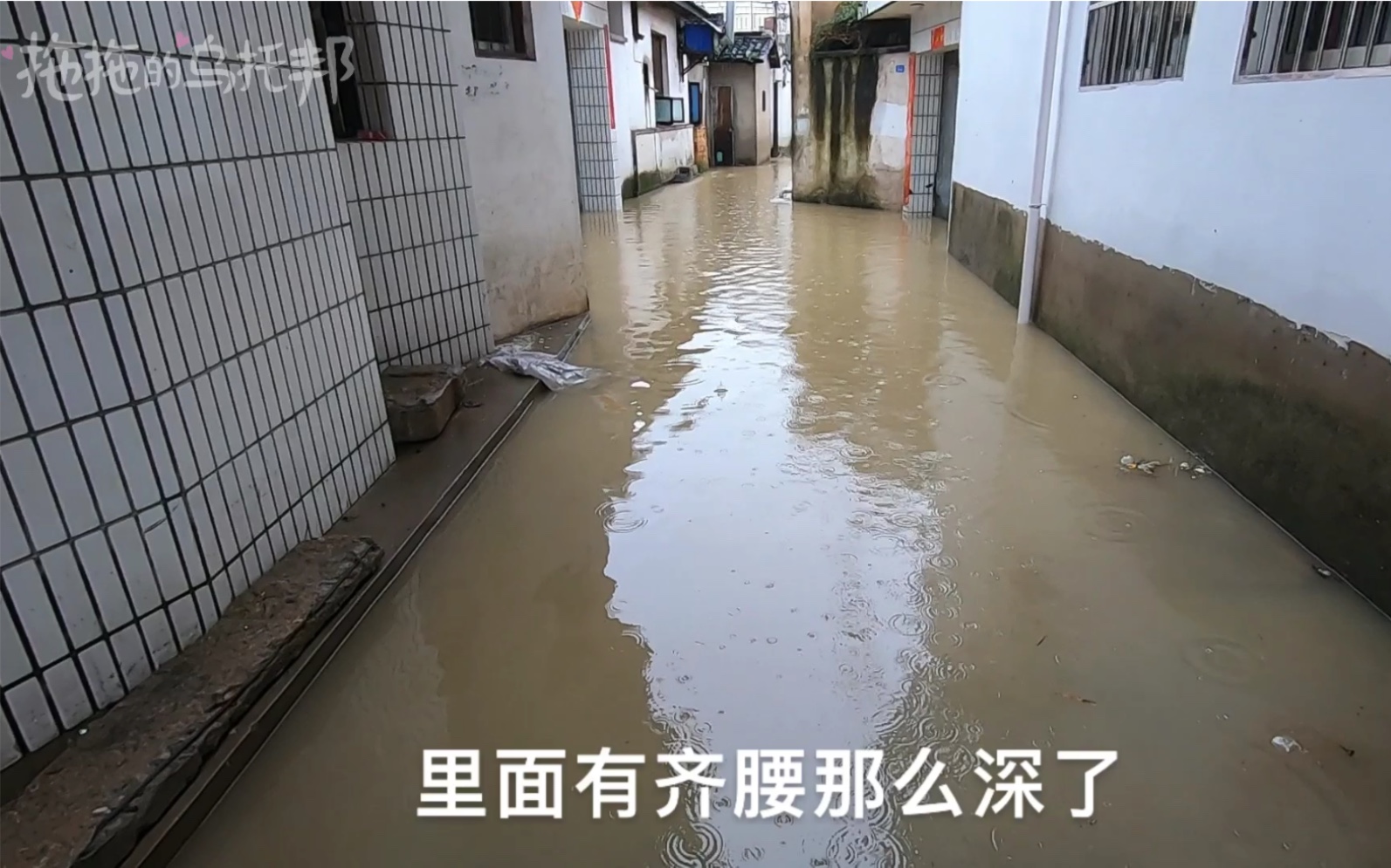 问君雨期未有期,黟山夜雨涨河池哔哩哔哩bilibili