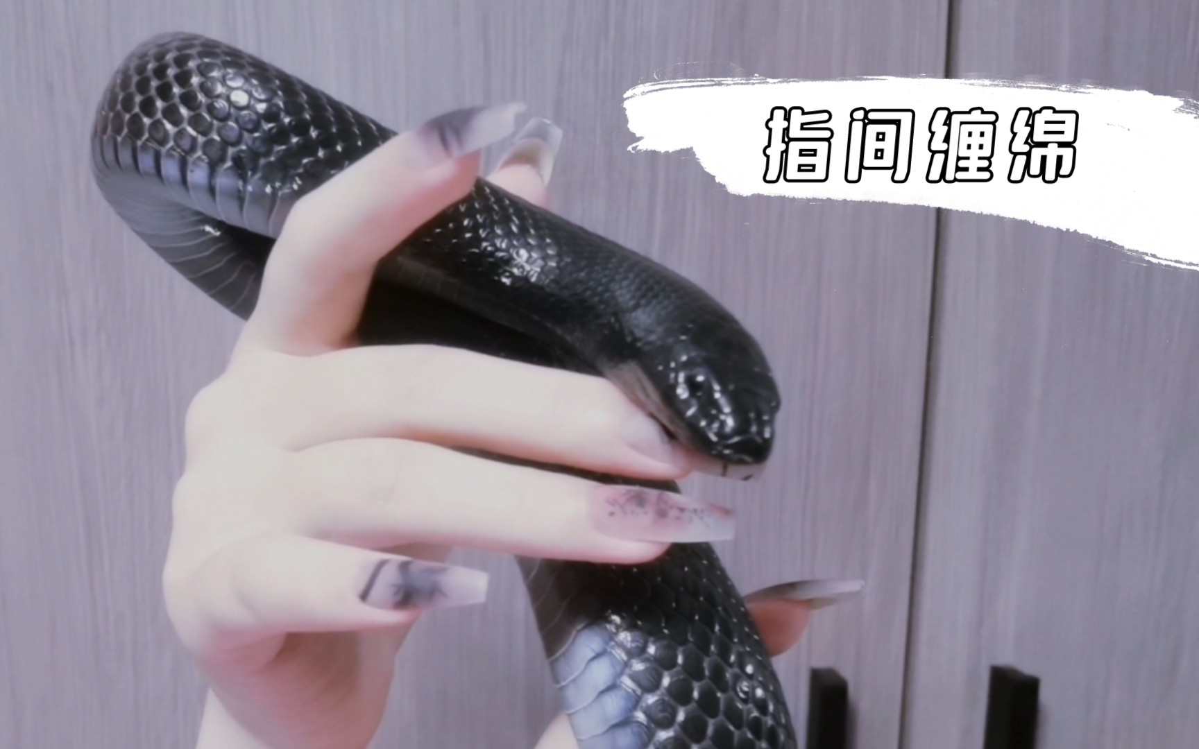 【黑王蛇】【柳墨】独属于她的指间缠绵