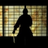 （德语）影武者：日本忍者 Ninja Japans Schattenkrieger