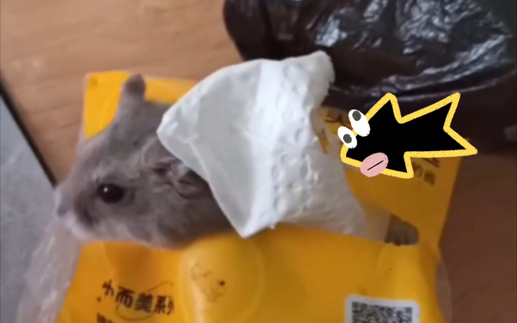小仓鼠都这么喜欢纸巾嘛？