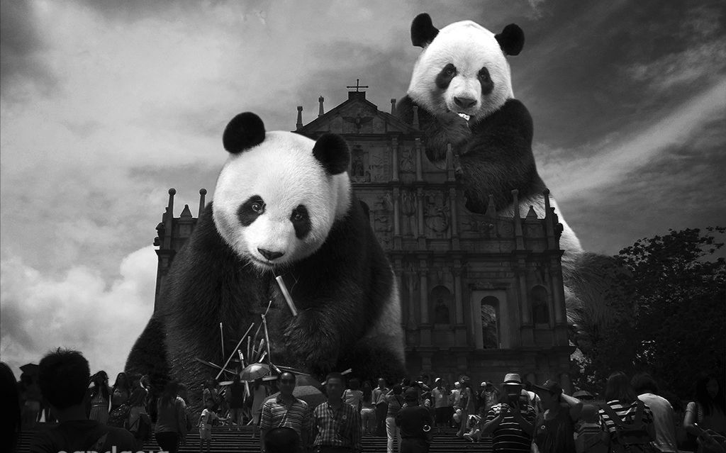 熊人族永不屈服!pandas wil never give i