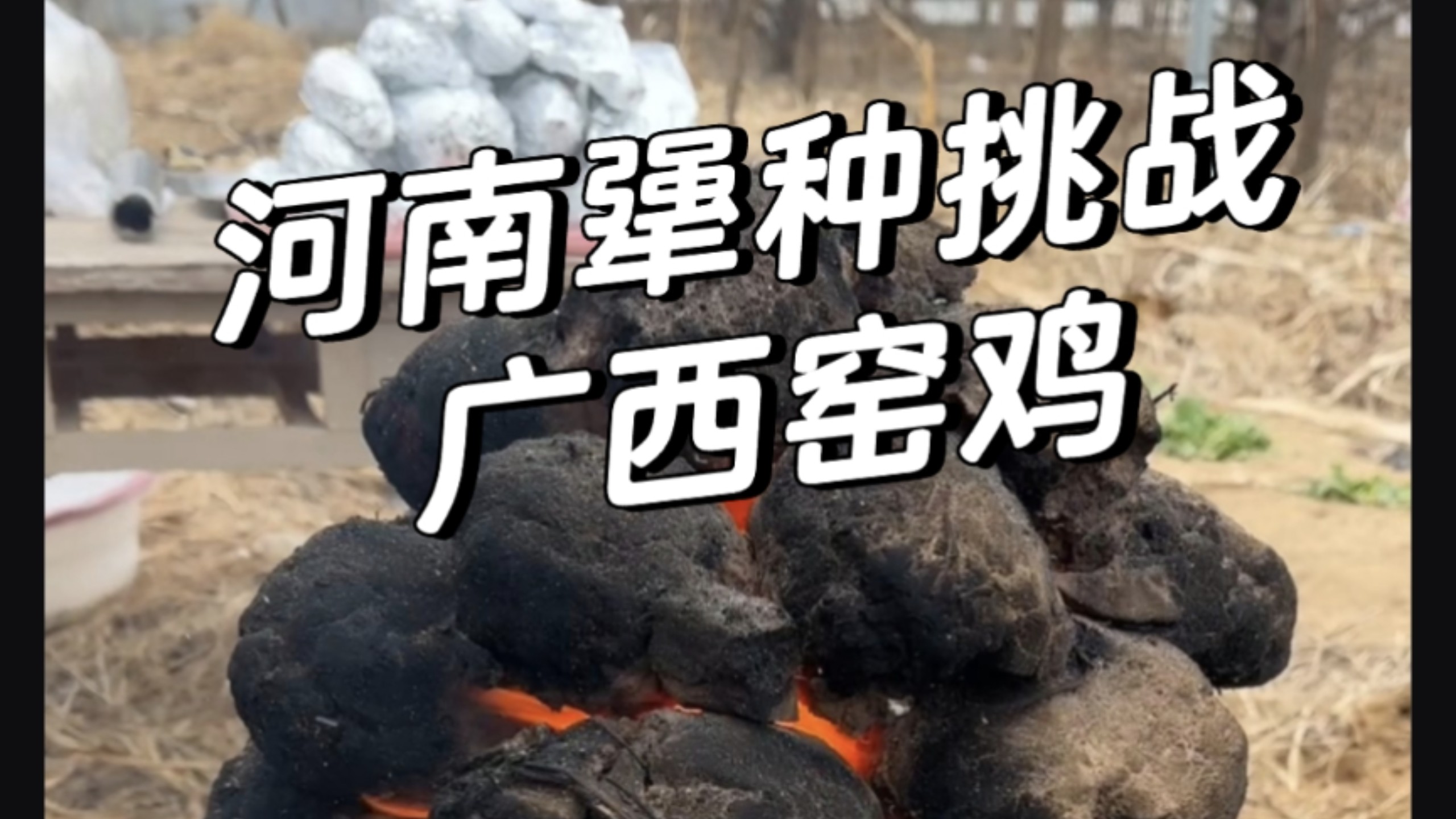 河南犟种挑战广西窑鸡！