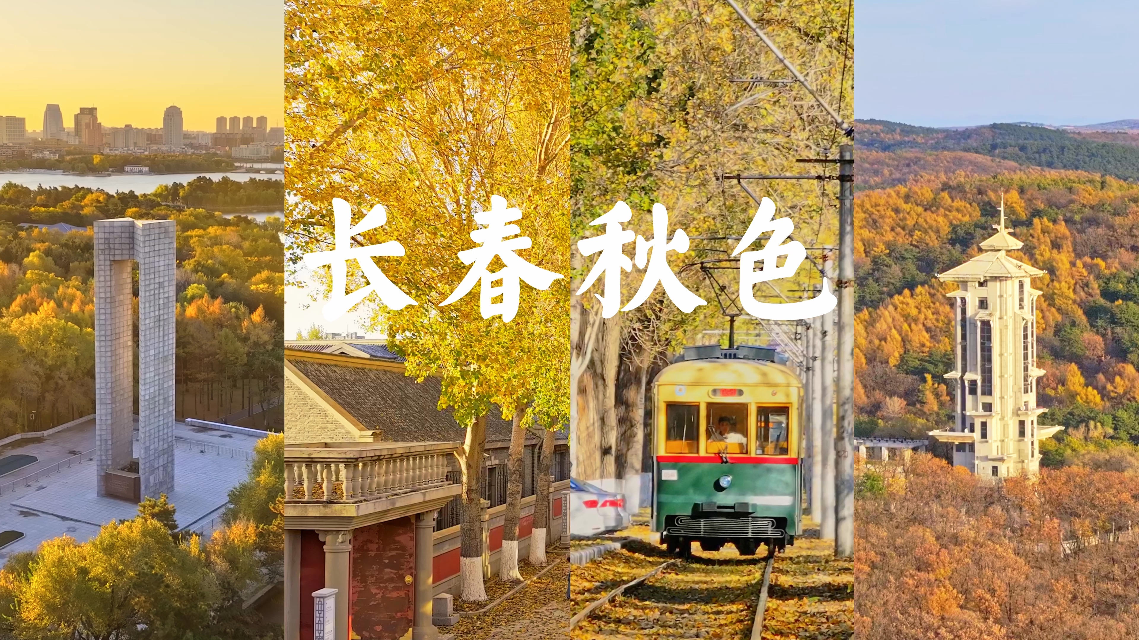 长春的秋景封神了！