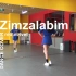 【南舞团】zimzalabim red velvet 舞蹈教学 翻跳 练习室（上）