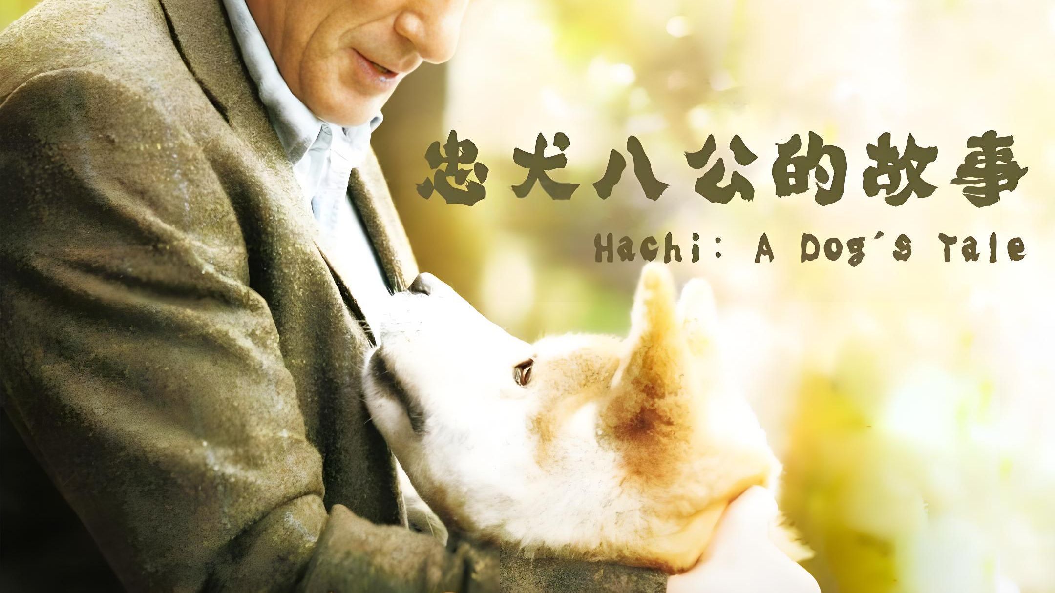 《忠犬八公的故事》9.4分 欧美经典催泪神作 4K完整版