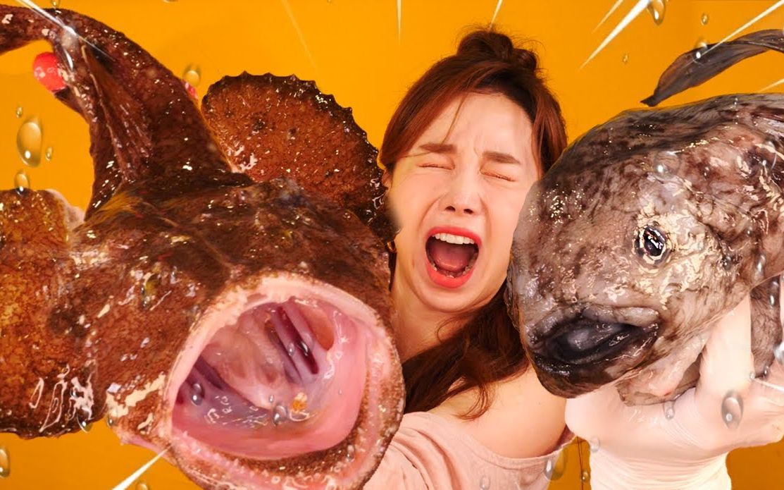 【Ssoyoung】5.14新更 丑鱼系列 奇丑无比的安康鱼和另一种丑鱼